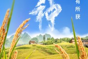 保定芒种节气小知识来了 夏种作物都有什么？